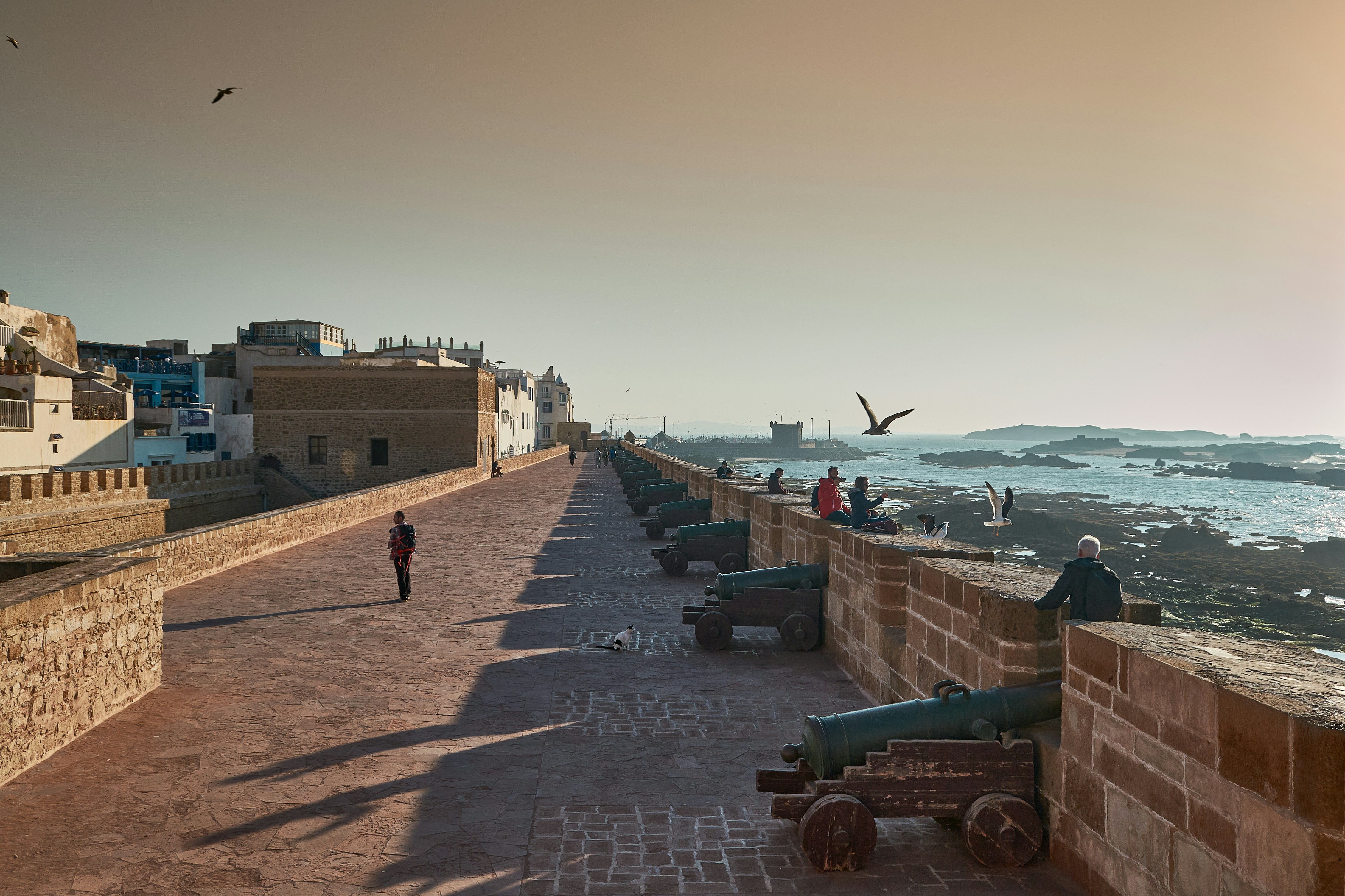 Road trip Marrakech–Essaouira : quel véhicule louer ?